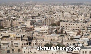 白色橄榄树东国是哪里 白色橄榄树东国介绍