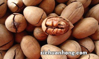 碧根果哪里产的 碧根果的简介