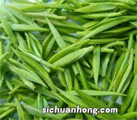 贡茶的绿茶是怎么做的