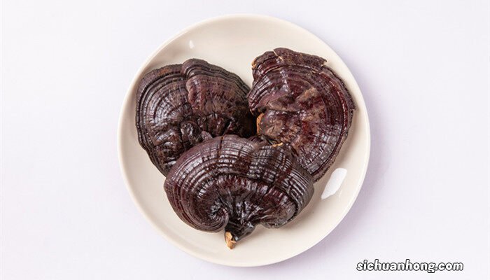 灵芝种植条件和方法和费用 灵芝种植条件和方法