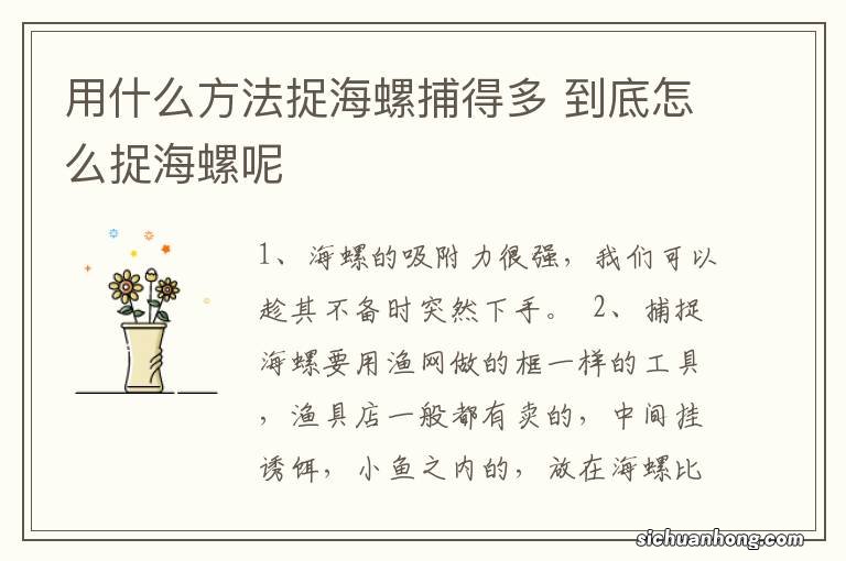 用什么方法捉海螺捕得多 到底怎么捉海螺呢