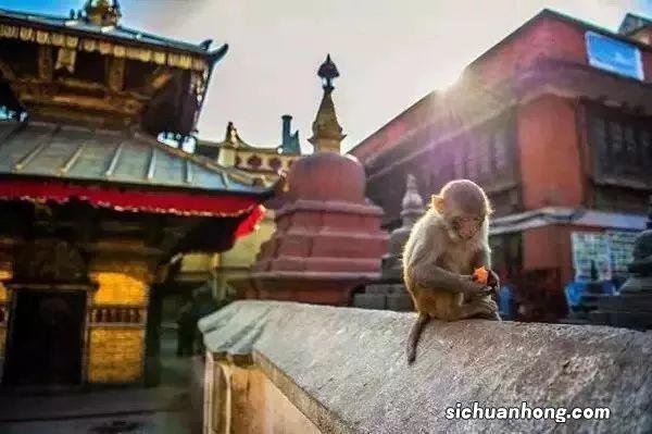 尼泊尔,神的国度~也是无数摄影爱好者的天堂