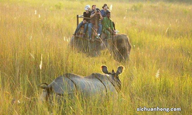 尼泊尔,神的国度~也是无数摄影爱好者的天堂