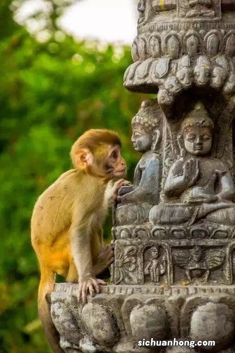 尼泊尔,神的国度~也是无数摄影爱好者的天堂