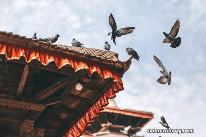 尼泊尔,神的国度~也是无数摄影爱好者的天堂