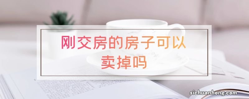 刚交房的房子可以卖掉吗