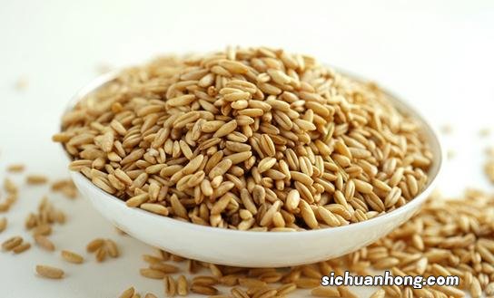 购买燕麦还是燕麦片比较好?