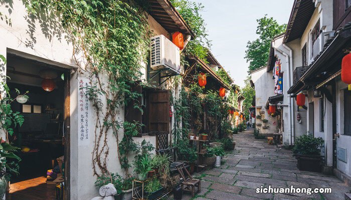 玻璃阳光房能爬的植物有哪些 玻璃阳光房能爬的植物