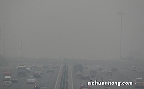 雾霾天气的养肺小妙招