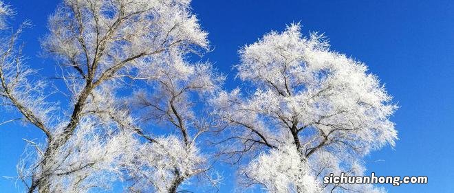 2月最适合出游的六个地点,赶快收藏出发