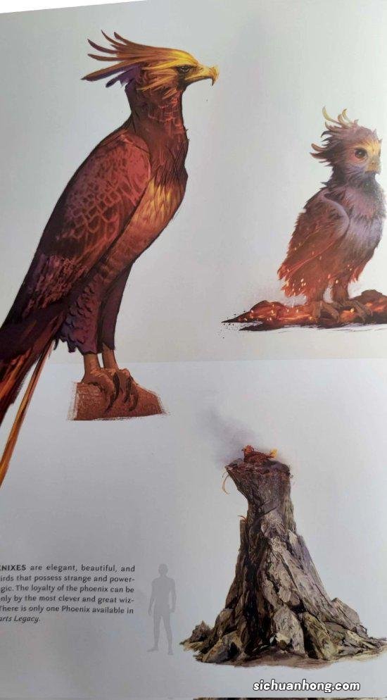 《霍格沃茨之遗》主线时长35小时:地图、装备栏曝光