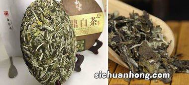 白牡丹茶饼怎么储存