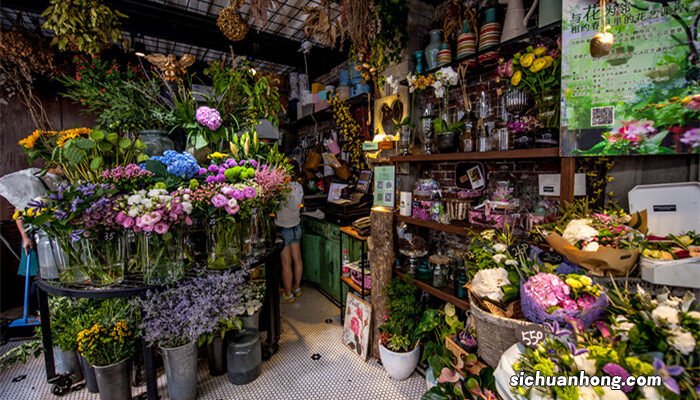 客厅电视柜上放什么花好 客厅电视柜上适合摆什么花