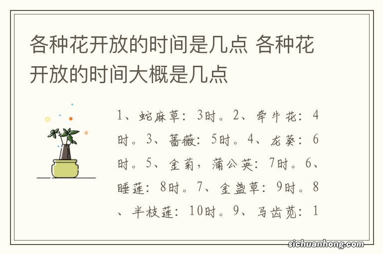 各种花开放的时间是几点 各种花开放的时间大概是几点