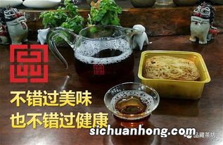 陈年藏茶怎么喝