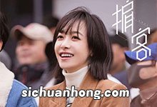 掮客电视剧上映时间 掮客主要演员