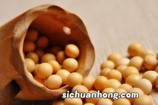 黄豆煮开要多久能熟