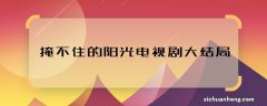 掩不住的阳光电视剧大结局 掩不住的阳光结局怎样