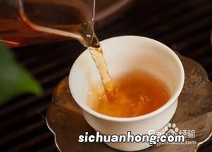 普洱茶怎么泡最好