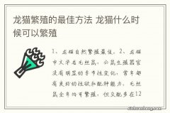 龙猫繁殖的最佳方法 龙猫什么时候可以繁殖