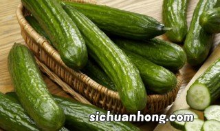 种黄瓜的方法和技术 黄瓜播种方法与步骤