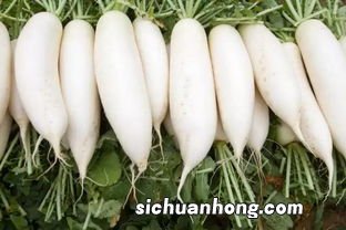 什么人不适宜吃萝卜