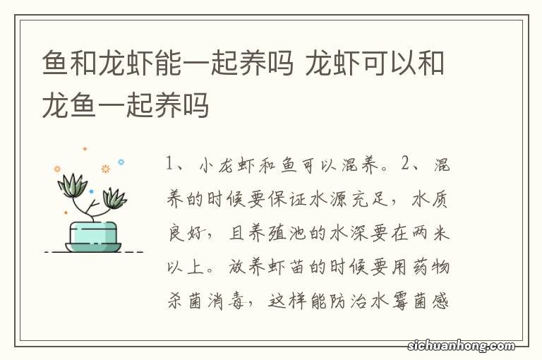 鱼和龙虾能一起养吗 龙虾可以和龙鱼一起养吗