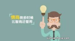 什么是情商情商包括哪些方面