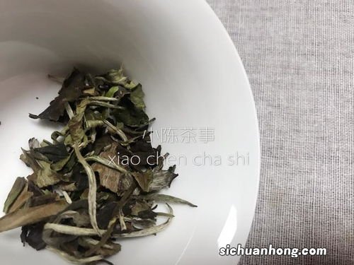 乔木古树茶饼白茶怎么喝