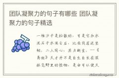 团队凝聚力的句子有哪些 团队凝聚力的句子精选