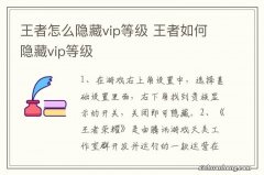 王者怎么隐藏vip等级 王者如何隐藏vip等级