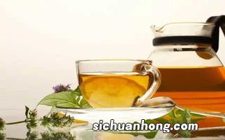 一年四季茶叶怎么喝