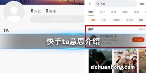 快手ta是指的什么意思