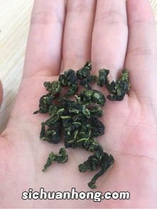 铁观音怎么泡没青草味