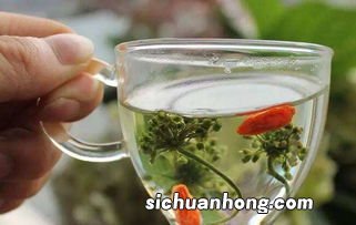 人参花怎么泡茶