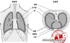 结核性胸膜炎的症状