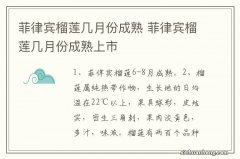 菲律宾榴莲几月份成熟 菲律宾榴莲几月份成熟上市