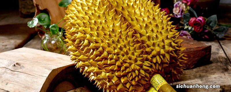 榴莲的种植条件和种植技术视频 榴莲的种植条件和种植技术