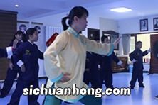 太极拳分几个派系