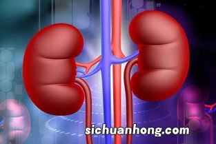 慢性肾炎吃什么粥