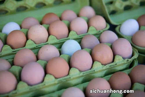 粉壳蛋鸡品种介绍