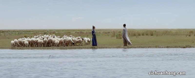 倚天屠龙记结局 倚天屠龙记结局是什么