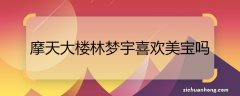 摩天大楼林梦宇喜欢美宝吗 摩天大楼林梦宇喜不喜欢美宝