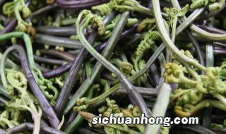 蕨菜的正确保存方法 新鲜的蕨菜可以保存吗