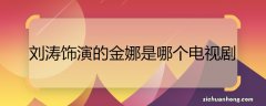 刘涛饰演的金娜是哪个电视剧 刘涛演的哪部电视剧叫金娜