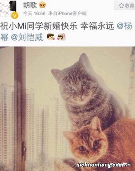 胡歌官宣当爸,再回顾下他和薛佳凝、杨幂、江疏影的爱情故事