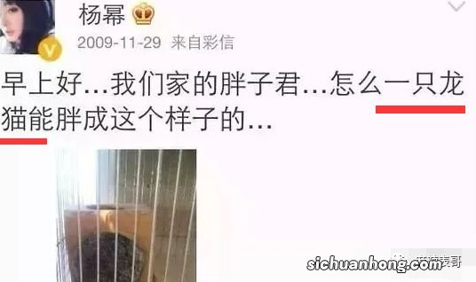 胡歌官宣当爸,再回顾下他和薛佳凝、杨幂、江疏影的爱情故事