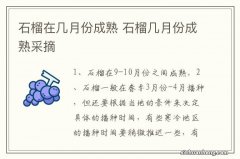 石榴在几月份成熟 石榴几月份成熟采摘