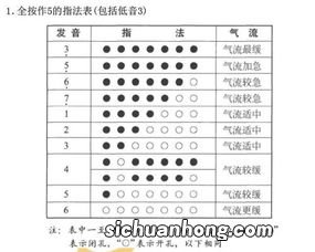 葫芦丝怎么考级