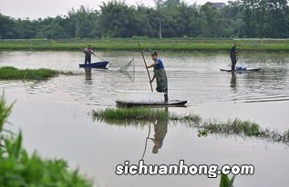 卖龙虾怎么让虾不死